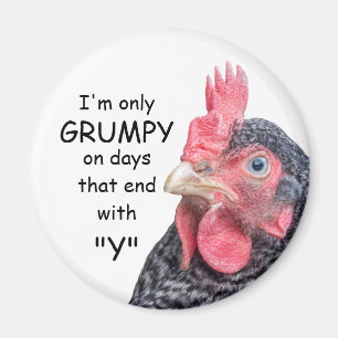 Grumpy fegt roligt Frowning hönafoto Magnet