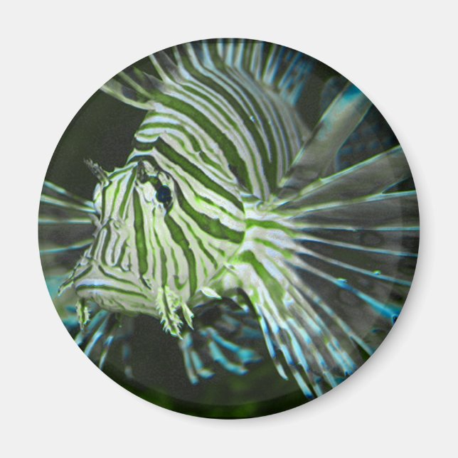 Grumpy Fish Magnet (Framsidan)