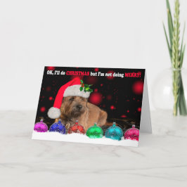 Grumpy gränsTerrierhund som ha på sig en Santa Helgkort