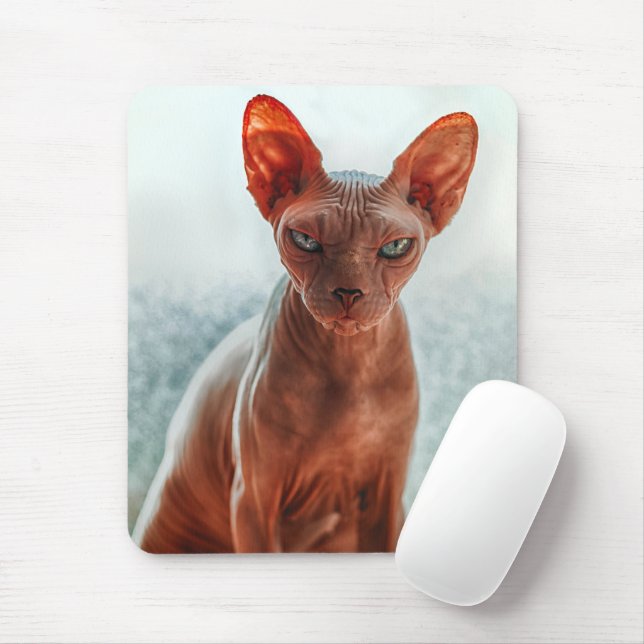 Grumpy Hairless Sphynx Cat Musmatta (Med mus)