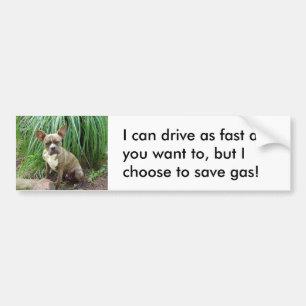 Grumpy hund Spara Gas Bumper Sticker Bildekal