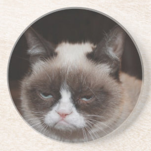 Grumpy katt Costers v3 Underlägg Sandsten