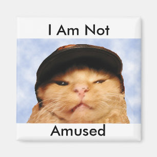 Grumpy katt magnet