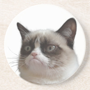 Grumpy katt som att glo underlägg