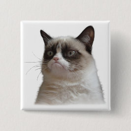 Grumpy kattilsken blick knäppas knapp