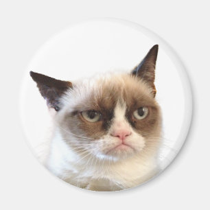 Grumpy kattrundamagnet magnet