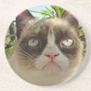 Grumpy kattunderlägg underlägg