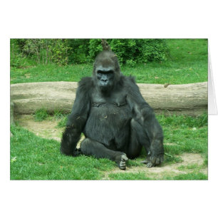 Grumpy Lowland Gorilla Hälsningskort