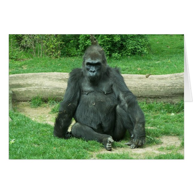 Grumpy Lowland Gorilla Hälsningskort (Framsidan Horizontal)