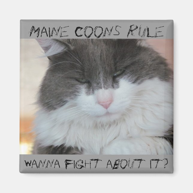 Grumpy Maine Coon Cat Magnet (Framsidan)