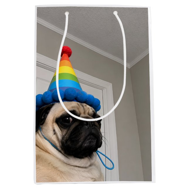 Grumpy Mops som bär regnbågsfödelsedagsfesthatt (Framsidan)