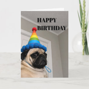 Grumpy Mops som bär regnbågsfödelsedagshatt Kort