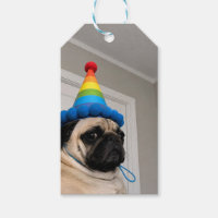 Grumpy Mops som bär regnbågsfödelsedagshatt