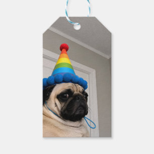 Grumpy Mops som bär regnbågsfödelsedagshatt Presentetikett
