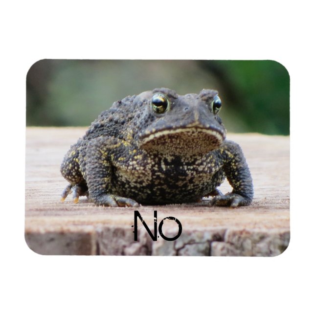 Grumpy Old Toad på en stump Magnet (Horisontell)