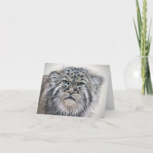 Grumpy Pallas Cat notecard Tack Kort