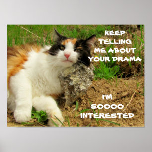 Grumpy Sarcasm för Calicokattdrama Poster