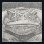 Grumpy Toad Stenunderlägg<br><div class="desc">Grumpy toad</div>