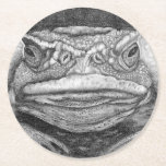 Grumpy Toad Underlägg Papper Rund<br><div class="desc">Grumpy toad enkäter om dammen</div>