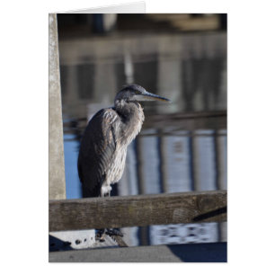 Grumpy Underbar Blue Heron Hälsningskort