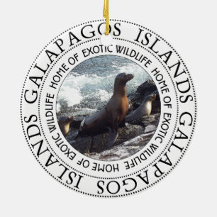 GRUND FÖR GALAPAGOS SÄLAR JULGRANSPRYDNAD KERAMIK
