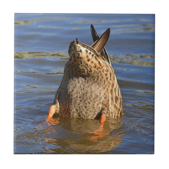 Grund Up Anka Tile Kakelplatta (Framsidan)