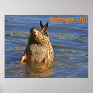 Grund Up Diving Anka Poster