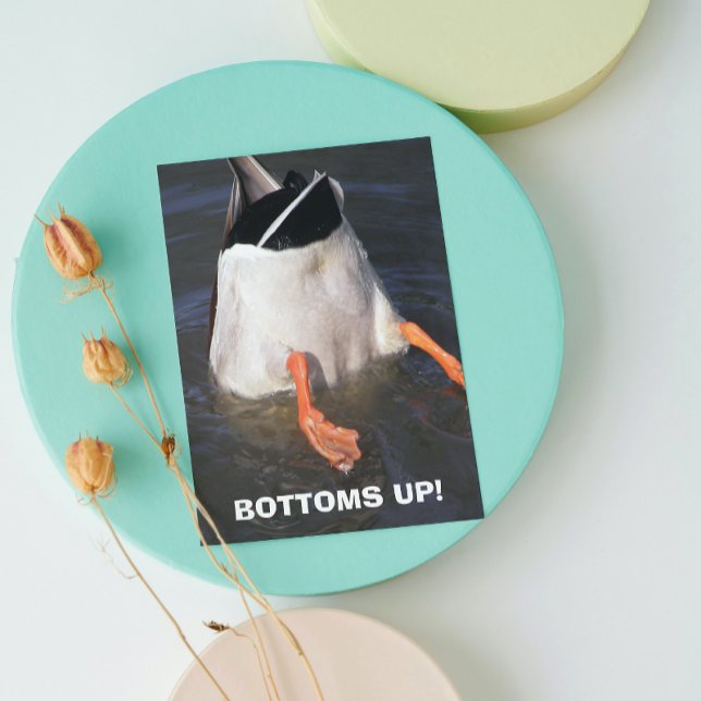 Grund Up Dunking Anka Funny Birthday Kort (In Situ)