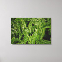 Grundläggande finkonst