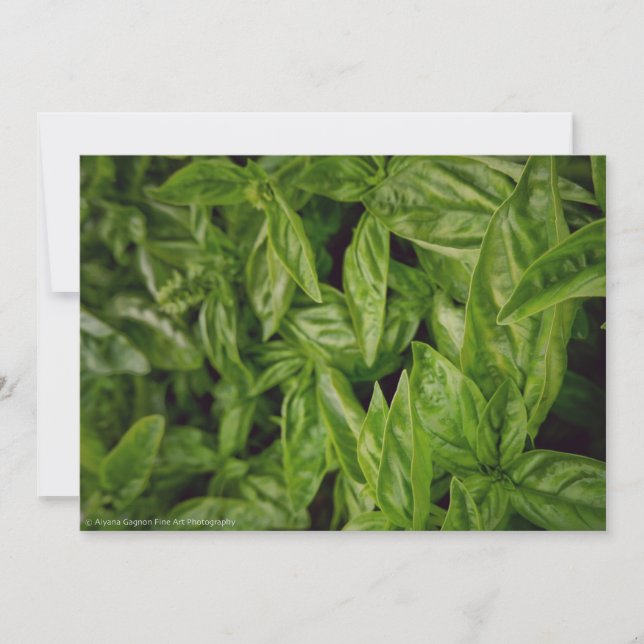 Grundläggande finkonst meddelande (Framsida)