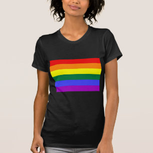 Grundläggande regnbågeflagga t-shirt
