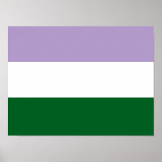 Grundläggande Vågrät för Flagga Genderqueer Poster