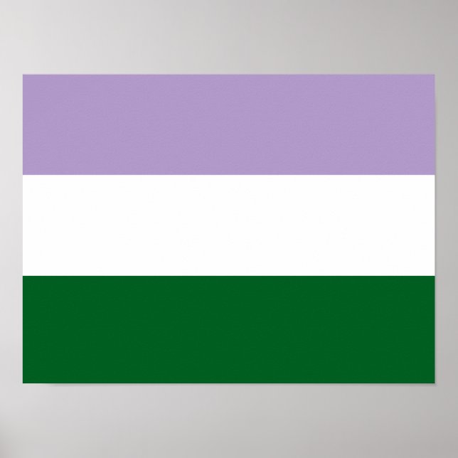 Grundläggande Vågrät för Flagga Genderqueer Poster (Framsidan)