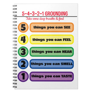 Grundteknik för ångest/Stressa 5 sinnen Anteckningsbok