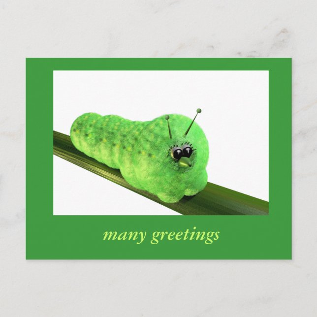 Grüne Raupe Vykort (Framsida)