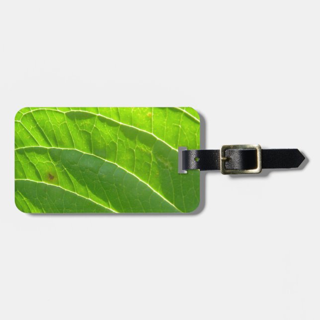 Grünes Blatt, hübsche Blattrippen Bagagebricka (Horisontell Framsida)