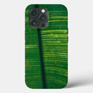 Grünes Blatt mit Details aus Costa Rica