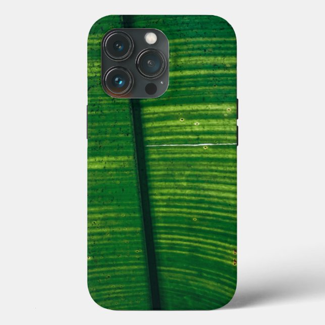 Grünes Blatt mit Details aus Costa Rica (Baksida )