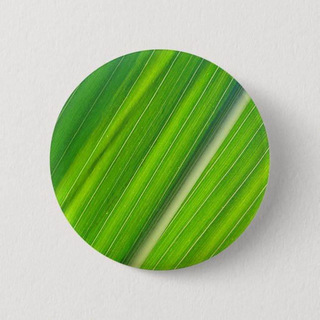 Grünes Maisblattdesign Knapp (Framsida)