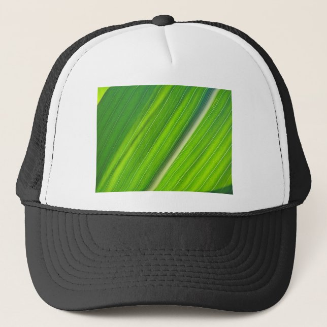 Grünes Maisblattdesign Truckerkeps (Framsida)