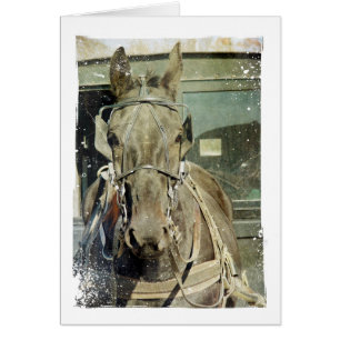 Grunge Amish Buggy Horse Hälsningskort