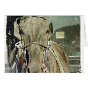Grunge Amish Buggy Horse Hälsningskort