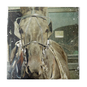Grunge Amish Buggy Horse Kakelplatta