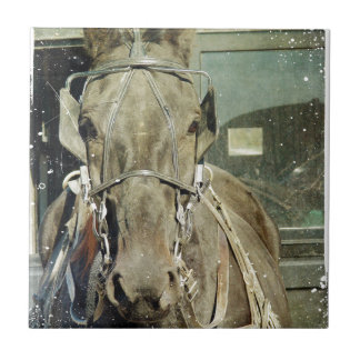 Grunge Amish Buggy Horse Kakelplatta