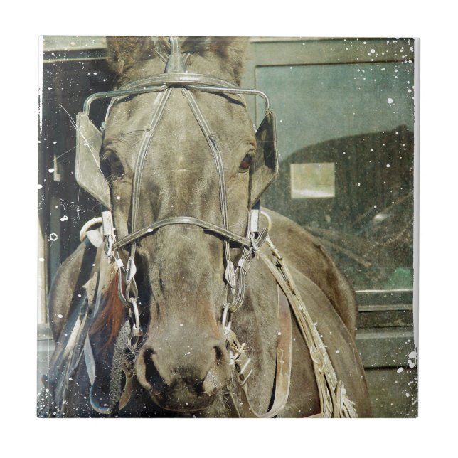 Grunge Amish Buggy Horse Kakelplatta (Framsidan)