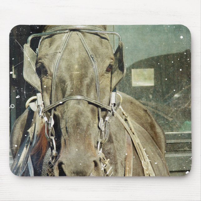 Grunge Amish Buggy Horse Musmatta (Framsidan)