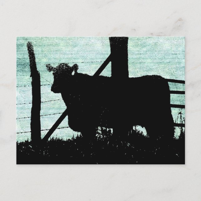 Grunge Cow Silhouette Vykort (Framsida)
