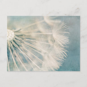 Grunge Dandelion Vykort
