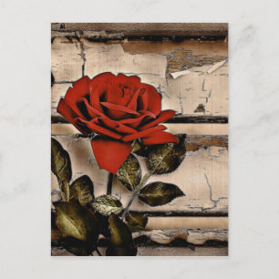 Grunge Distress Barn Wood Rustic Röd ros Vykort