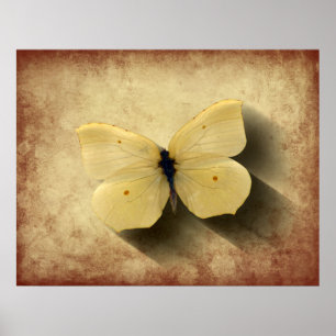 Grunge Gult Butterfly med skugga Poster